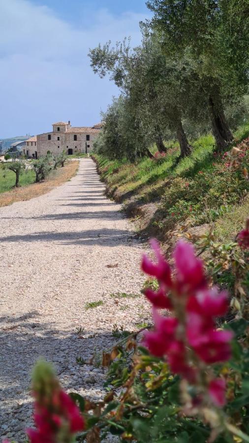 Castello Di Petecciano B&B Mosciano SantʼAngelo Екстериор снимка